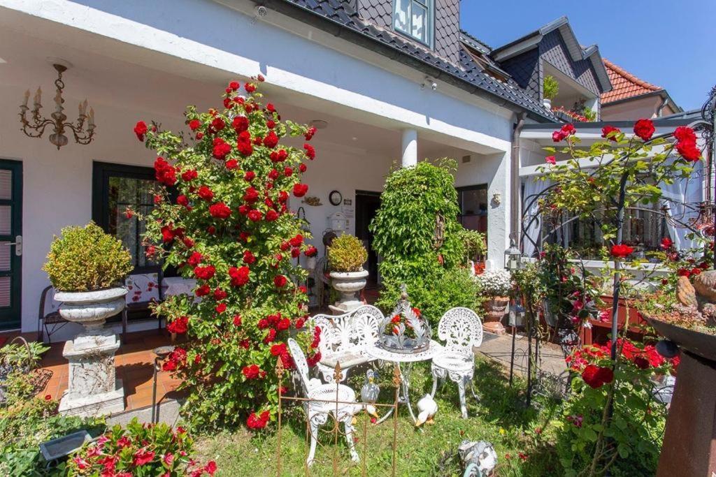 cafesahne u Pension Dranske Extérieur photo